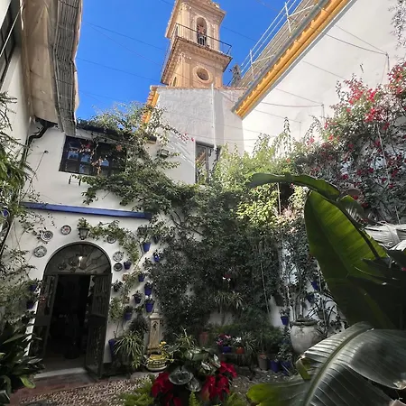 Con Vistas A Iglesia Historica Centro 6 Huespedes
